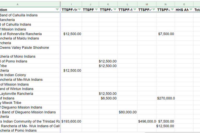 Screenshot of the Tribal Grantee Database Excel Sheet