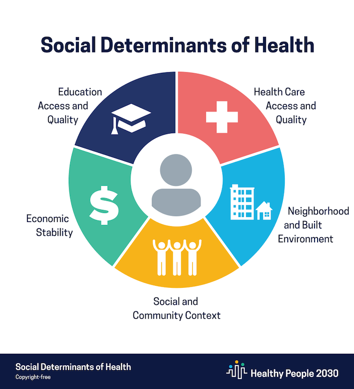  economic stability, education access and quality, health care access and quality, neighborhood and built environment, and social and community context. 